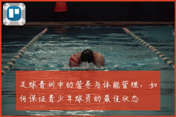 足球青训中的营养与体能管理，如何保证青少年球员的最佳状态